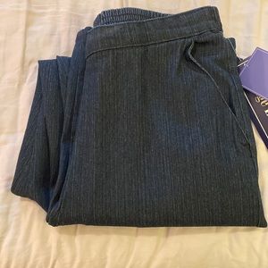 Laura Scott Missy Flat Front Pants Dark Wash Denim With Elastic Waist Size 12